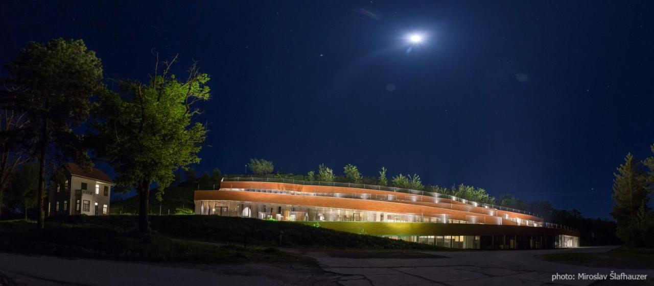Vila Rosa Vukovar Bed & Breakfast Ngoại thất bức ảnh