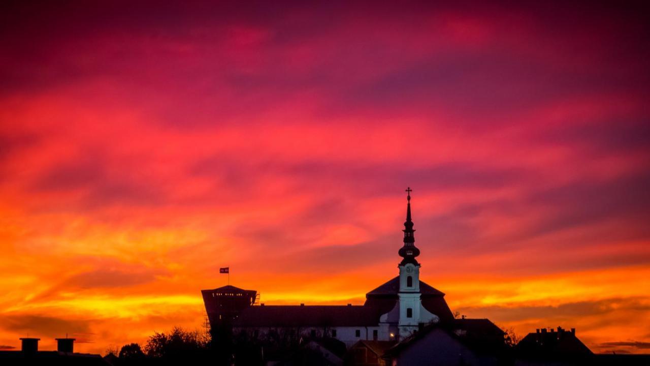 Vila Rosa Vukovar Bed & Breakfast Ngoại thất bức ảnh